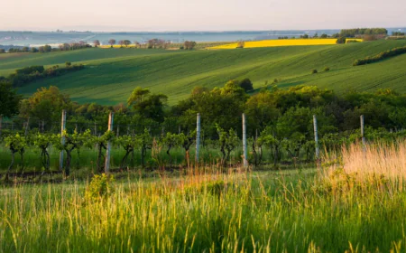 Why Voyator Is Transforming Online Booking Trends 2026?