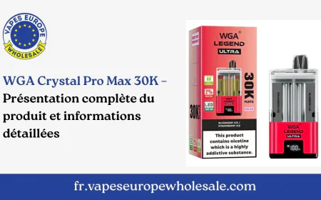 WGA Crystal Pro Max 30K – Présentation complète du produit et informations détaillées