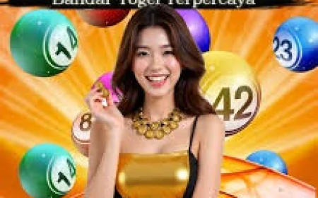 Panduan Lengkap Menang Menggunakan Pengeluaran Macau Online