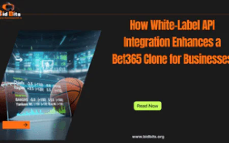 How White-Label API Integration Enhances a Bet365 Clone for Businesses