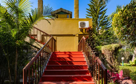 Luxury Resorts In Jim Corbett: Experience Nature with Premium Comfort
