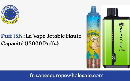 Puff 15K : La Vape Jetable Haute Capacité (15000 Puffs)