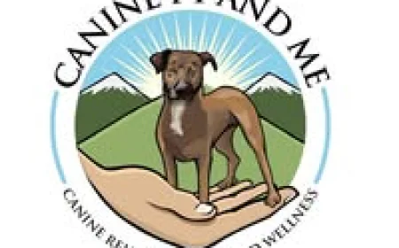 Dog Arthritis Treatment: Helping Your Dog Live Pain-Free with Canine PT and Me