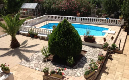 Designing a Backyard Escape: What to Know Before Building a Pool