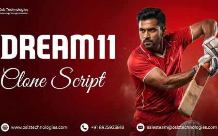 Is a Dream11 Clone Script the Smart Choice for Budget-Friendly Fantasy Apps  