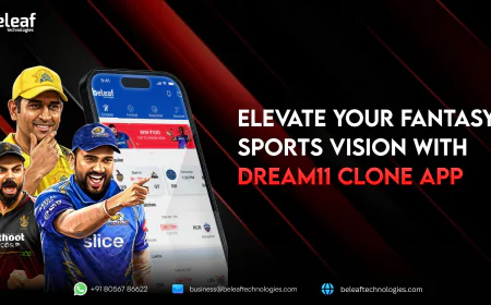 Elevate Your Fantasy Sports Vision with Dream11 Clone App