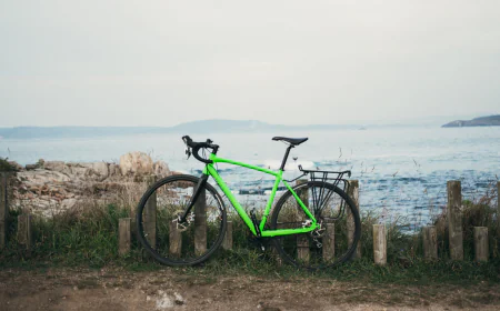 Which Issues Do Electric Bike Repair Shops Deal With the Most?