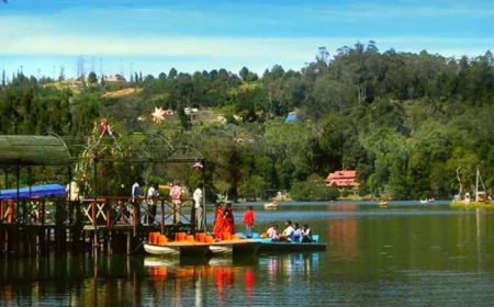 Ooty Tour Package for Couples – Romantic Getaway in the Hills