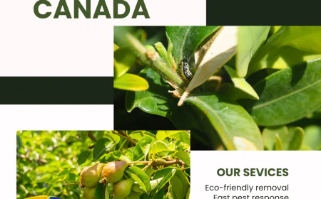 Pest Control for New Homeowners