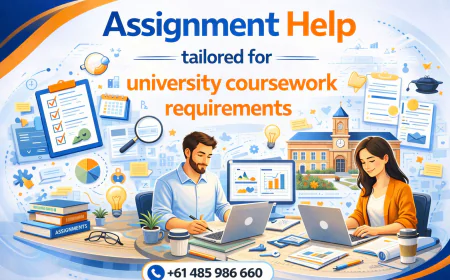 Assignment Help tailored for university coursework requirements