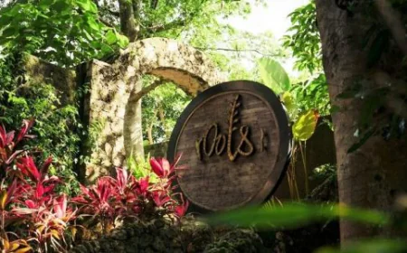 Tree House Bali Experience Nature Like Never Before with Roots Tree House