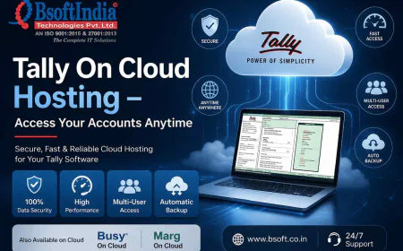 Tally On Cloud Hosting – Access Your Accounts Anytime