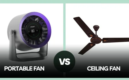 Portable Fan vs Ceiling Fan – When Should You Choose One?