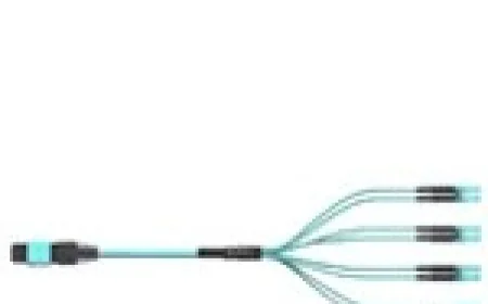 Unraveling the Potential of Multimode Fiber in Data-Driven Decision Making