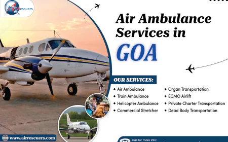 Detailed Overview of Air Ambulance Costs and Services in Goa