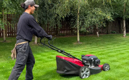 Why Garden Maintenance Contracts Are Essential for a Healthy Garden