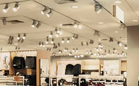 Track Light vs Down Lights: Which Lighting Solution Is Right for You?