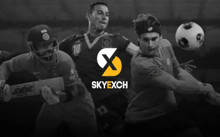 A Complete Guide to Skyinplayy.com: Features, Risks, and User Experience