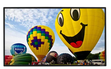 Projector Screen for Home: How to Choose the Perfect Screen for Your Setup?