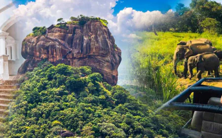 Sri Lanka Tour Packages with Flights – All Inclusive Getaways