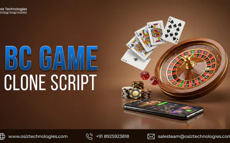 What Features Make BC Game Clone Script Stand Out in the USA