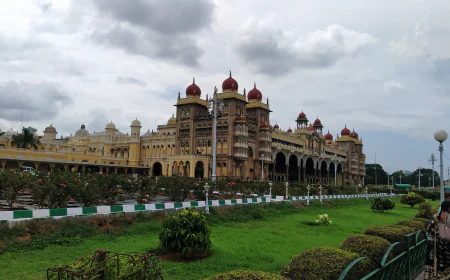Ooty Tour Package from Mysore Including Tea Garden Visit