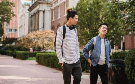 VIPS Admission Consultant: What You Need to Know