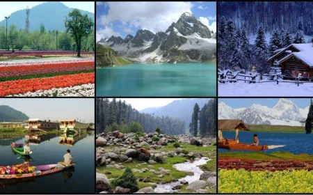 Kashmir Tour Packages for Couples, Families & Honeymooners