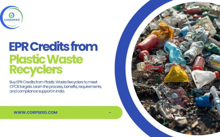 Plastic Credits: A Complete Guide to Compliance and Sustainability