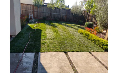 How Do Sprinkler Installation Services Make Landscaping Easier to Maintain?