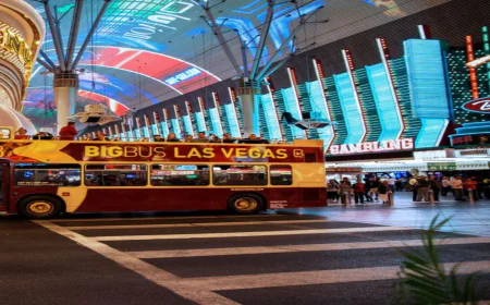 Las Vegas Bus Tours Made Easy: Discover the City with Hop-On Hop-Off Buses