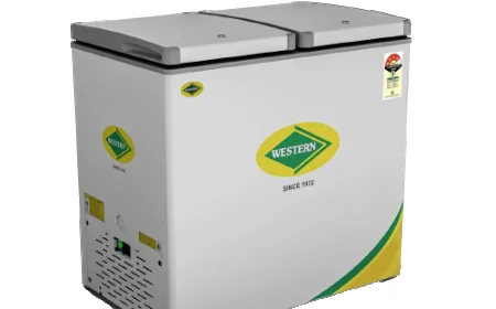 Compact Deep Freezer Manufacturers: Smart Cooling Solutions for Modern Businesses