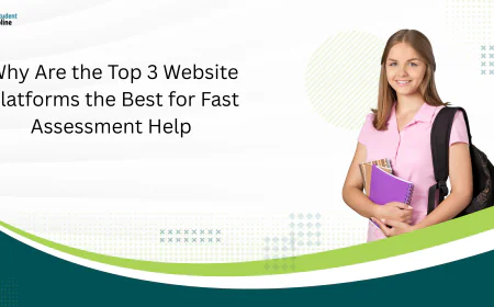 Why Are the Top 3 Website Platforms the Best for Fast Assessment Help