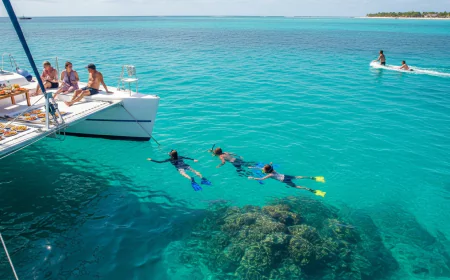 6 Meaningful Moments That Define a Private Snorkeling Catamaran Day