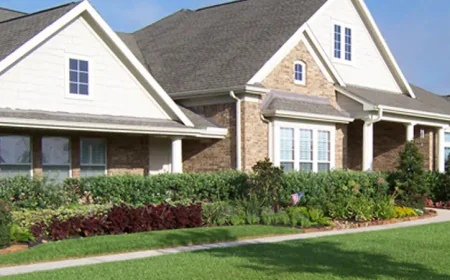 Yard Maintenance Houston: How to Choose the Right Service Provider