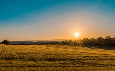 Best Resort Plots in Garhmukteshwar | Premium Investment at The Club Farm