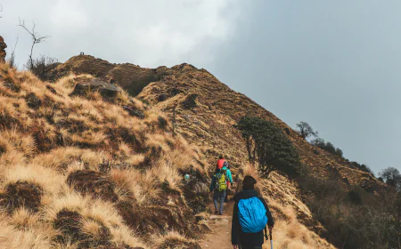 Wild Scenic Journey: Mardi Himal Trek Through Magical Landscapes and Silent Trails