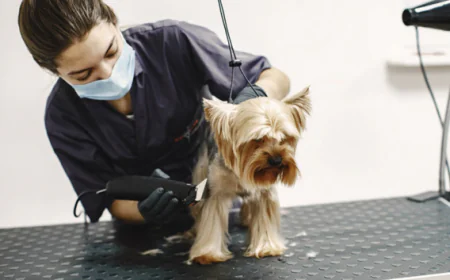 Do You Struggle With Dog Poop Cleanup Every Day? Here’s the Solution!