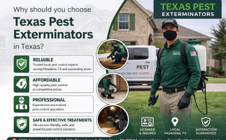 Professional and Affordable Pest Exterminators Serving Pasadena Texas Residential and Commercial Clients