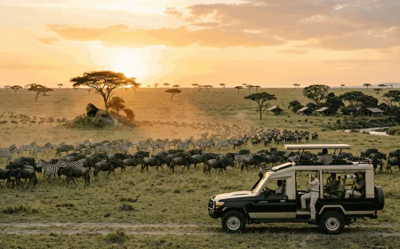How to plan the most unforgettable safari tours in Tanzania this year