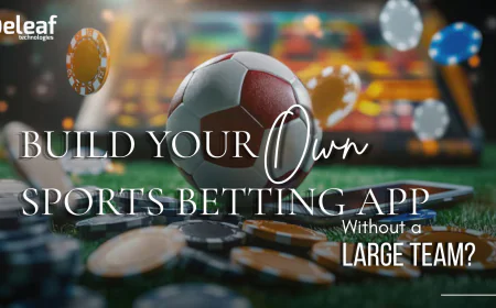 Is It Possible to Build Your Own Sports Betting App Without a Large Team?