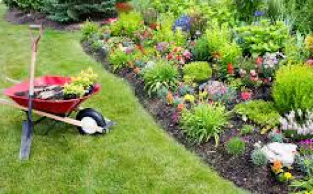 Garden Maintenance Palmerston | Visto Cleaning Experts
