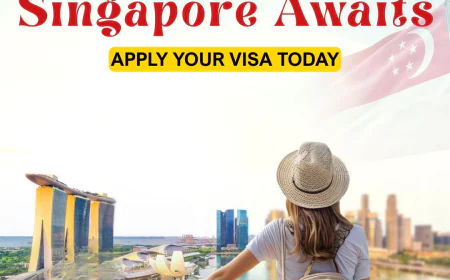 Cheapest B2B Visa Portal for Travel Agents – Grow Your Business with The Visa Monster