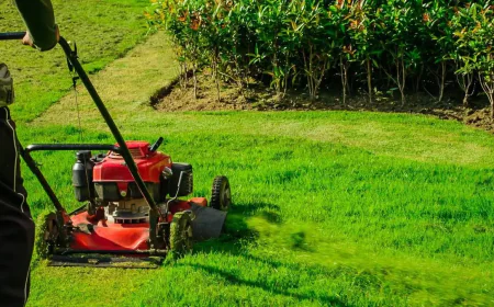 Redefining Curb Appeal with Professional Lawn Trimming Services