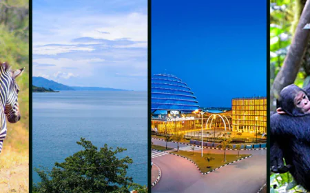 Essential Facts to Consider When Choosing Rwanda Vacation Tour Packages