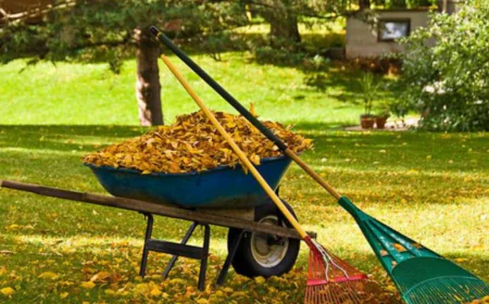How to Keep Your Lawn Clean Without Overwhelming Your Trash Bins
