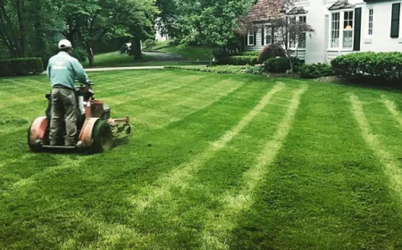 Why Premium Lawn Care Defines Modern Luxury
