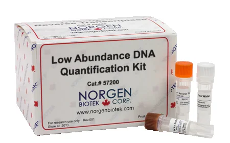 How to Choose High-Quality Quantified DNA Standards for Your Lab