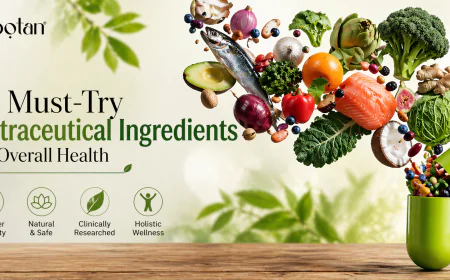 10 Must-Try Nutraceutical Ingredients for Overall Health | Complete Guide by Meibotan