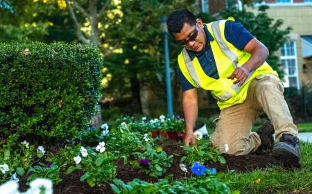 Commercial Landscaping Services to Elevate Arlington Business Spaces